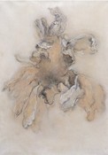 颜皎 2000年作 菊花